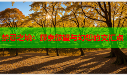 禁忌之境：探索欲望与幻想的交汇点
