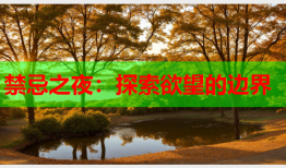 禁忌之夜：探索欲望的边界