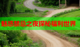 魅惑禁忌之夜探秘福利世界