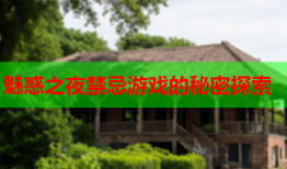 魅惑之夜禁忌游戏的秘密探索