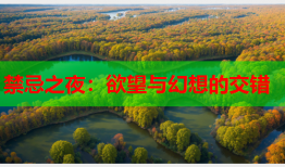 禁忌之夜：欲望与幻想的交错
