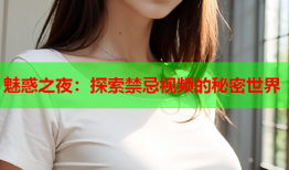 魅惑之夜：探索禁忌视频的秘密世界