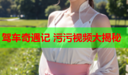驾车奇遇记 污污视频大揭秘