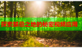 探索禁忌之地的秘密视频应用