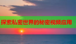 探索私密世界的秘密视频应用