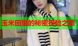 玉米田里的秘密探险之旅