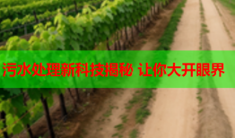 污水处理新科技揭秘 让你大开眼界