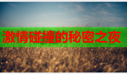 激情碰撞的秘密之夜