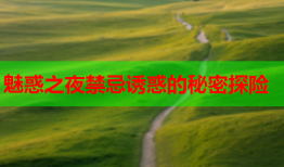 魅惑之夜禁忌诱惑的秘密探险