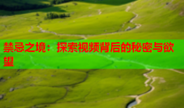 禁忌之境：探索视频背后的秘密与欲望
