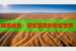 魅惑夜色：探索禁忌的秘密世界