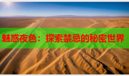 魅惑夜色：探索禁忌的秘密世界