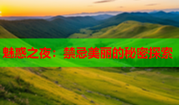 魅惑之夜：禁忌美丽的秘密探索