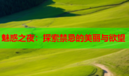 魅惑之夜：探索禁忌的美丽与欲望