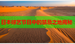 日本综艺节目中的禁忌之地揭秘