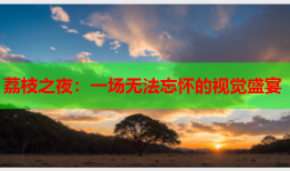 荔枝之夜：一场无法忘怀的视觉盛宴