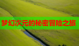 梦幻次元的秘密冒险之旅