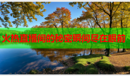 火热直播间的秘密瞬间尽在眼前