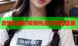 激情驾驶的极限挑战与视觉盛宴