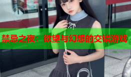 禁忌之夜：欲望与幻想的交错游戏