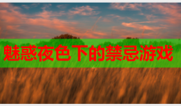 魅惑夜色下的禁忌游戏