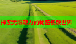 探索无限魅力的秘密视频世界