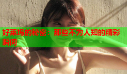 好莱坞的秘密：那些不为人知的精彩瞬间