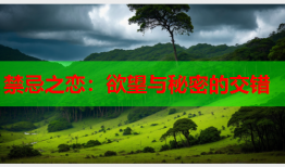 禁忌之恋：欲望与秘密的交错
