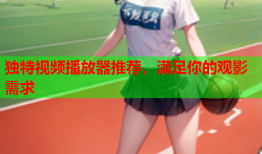 独特视频播放器推荐，满足你的观影需求