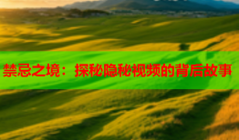 禁忌之境：探秘隐秘视频的背后故事