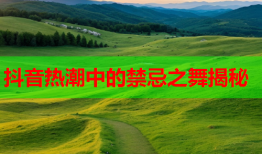 抖音热潮中的禁忌之舞揭秘