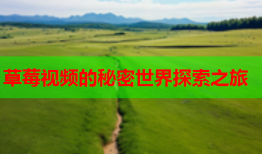 草莓视频的秘密世界探索之旅