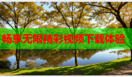 畅享无限精彩视频下载体验