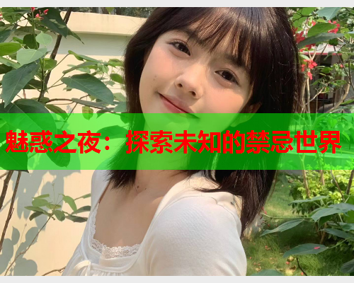 魅惑之夜：探索未知的禁忌世界
