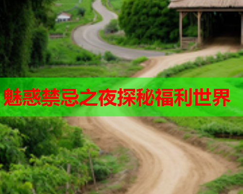 魅惑禁忌之夜探秘福利世界