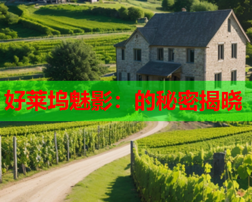好莱坞魅影：的秘密揭晓