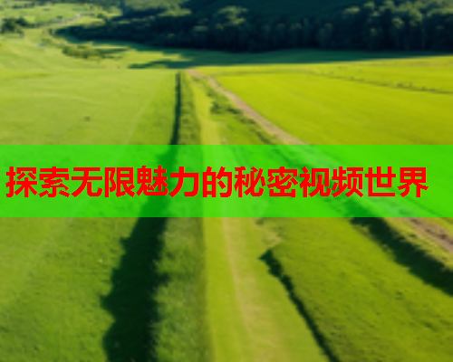 探索无限魅力的秘密视频世界