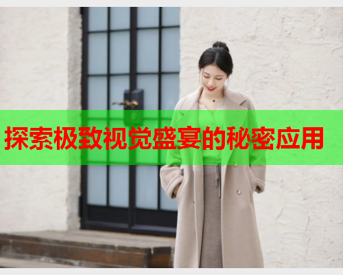 探索极致视觉盛宴的秘密应用