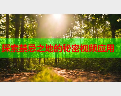 探索禁忌之地的秘密视频应用