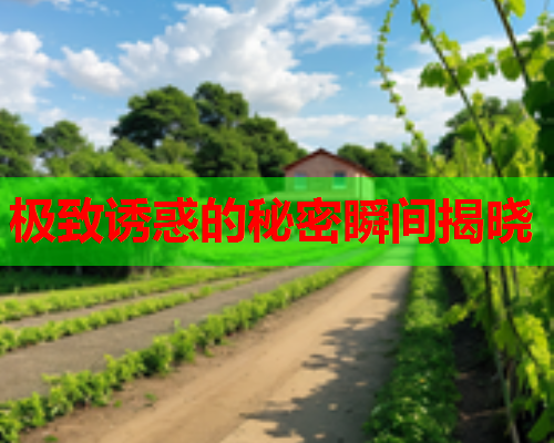 极致诱惑的秘密瞬间揭晓