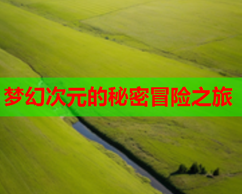 梦幻次元的秘密冒险之旅