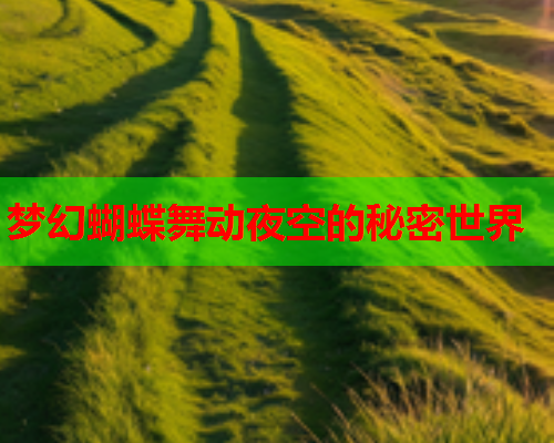 梦幻蝴蝶舞动夜空的秘密世界