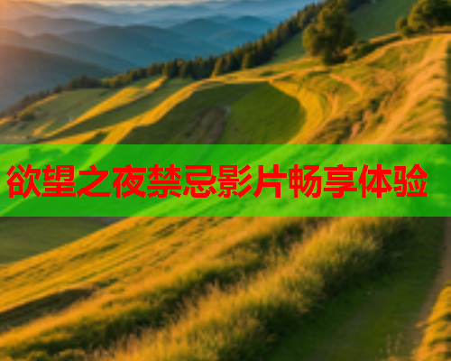 欲望之夜禁忌影片畅享体验