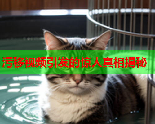 污移视频引发的惊人真相揭秘