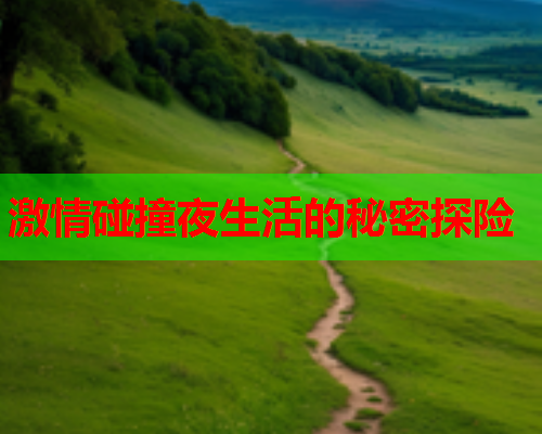 激情碰撞夜生活的秘密探险