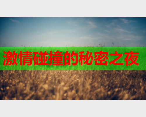 激情碰撞的秘密之夜