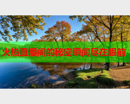 火热直播间的秘密瞬间尽在眼前