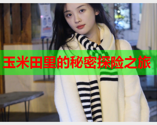玉米田里的秘密探险之旅