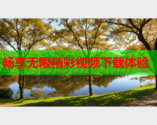 畅享无限精彩视频下载体验