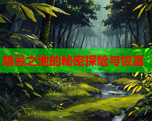 禁忌之地的秘密探险与惊喜